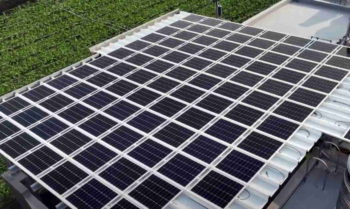 CG电子SunSteel光电浪板升级双玻结构，，，，以提升机械负载强度及气候耐候度，，，可广泛运用于多元场域